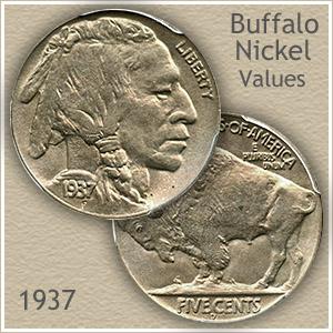 large.57cd0557b0ec6_1937-buffalo-nickel-value-top-2090516.jpg