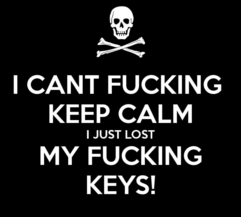 i-cant-fucking-keep-calm-i-just-lost-my-fucking-keys-1.png