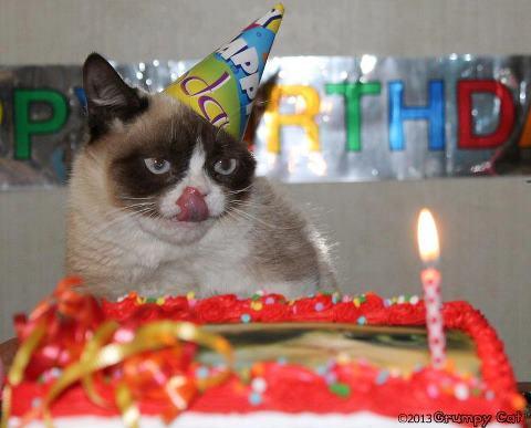 large.grumpy-cat-and-cake.jpg.8f4c9bfb5d