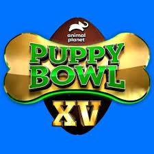 large.807560545_PuppyBowlwithPedigreeUS020319.jpg