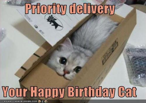 large.646094150_PrioritydeliveryYourHappyBirthdayCat063019.jpg