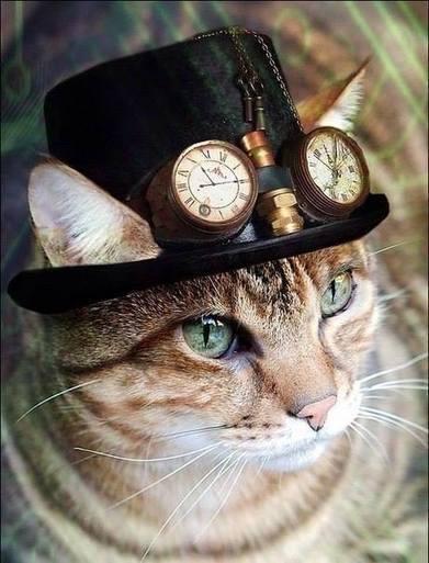 large.1633757335_catsinSteampunkTendenciesScoop090620.jpg