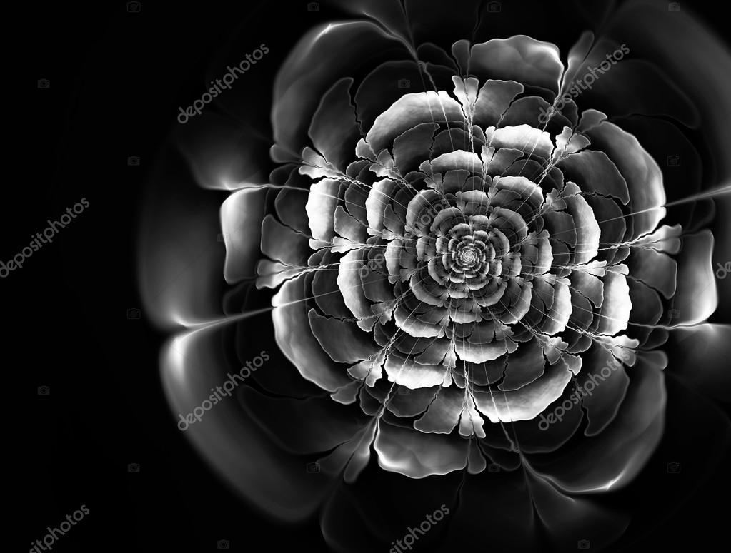 large.146430247_depositphotos_101436264-stock-photo-abstract-fractal-black-and-white040322.jpg